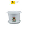 LION STAR ROSE POT NO.8 FP - 21